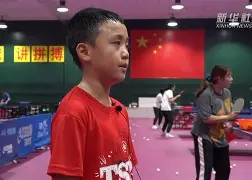 多米体育网址-捷克 欧国联